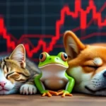 CatDogFrogPriceDown-1-gID_7