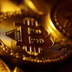 can-bitcoin-surpass-the-100k-mark-in-2024